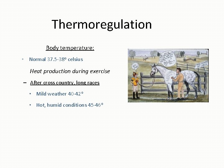 Thermoregulation Body temperature: ◦ Normal 37. 5 -38 o celsius Heat production during exercise