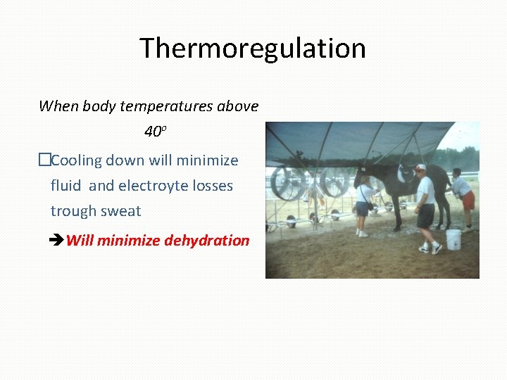 Thermoregulation When body temperatures above 40 o �Cooling down will minimize fluid and electroyte