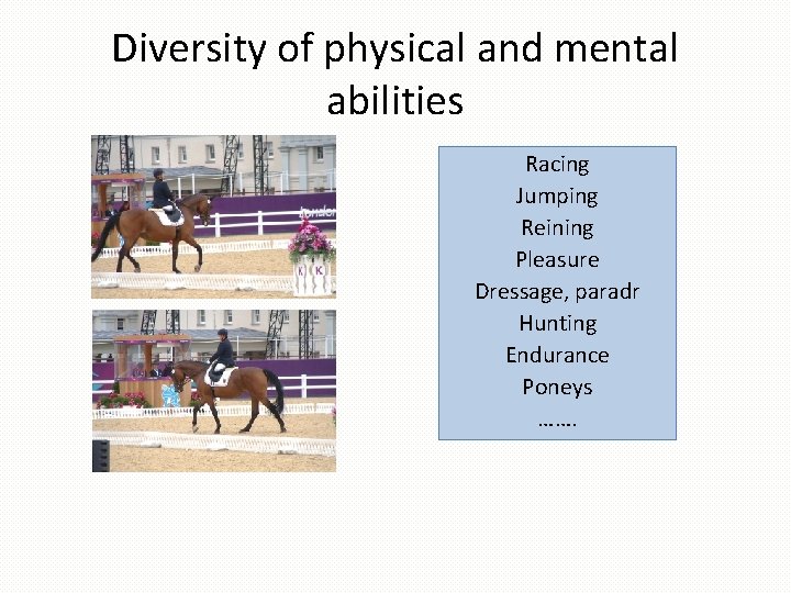 Diversity of physical and mental abilities Racing Jumping Reining Pleasure Dressage, paradr Hunting Endurance