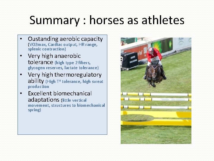 Summary : horses as athletes • Oustanding aerobic capacity (VO 2 max, Cardiac output,