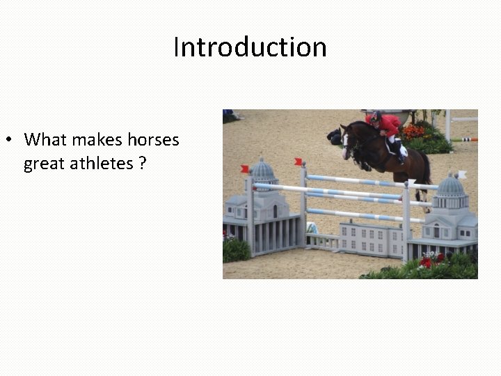 Introduction • What makes horses great athletes ? 