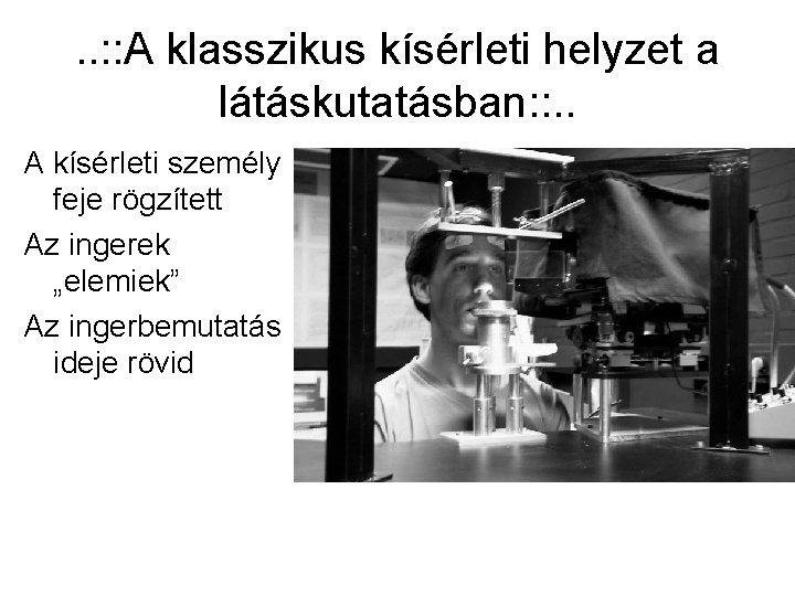 . . : : A klasszikus kísérleti helyzet a látáskutatásban: : . . A