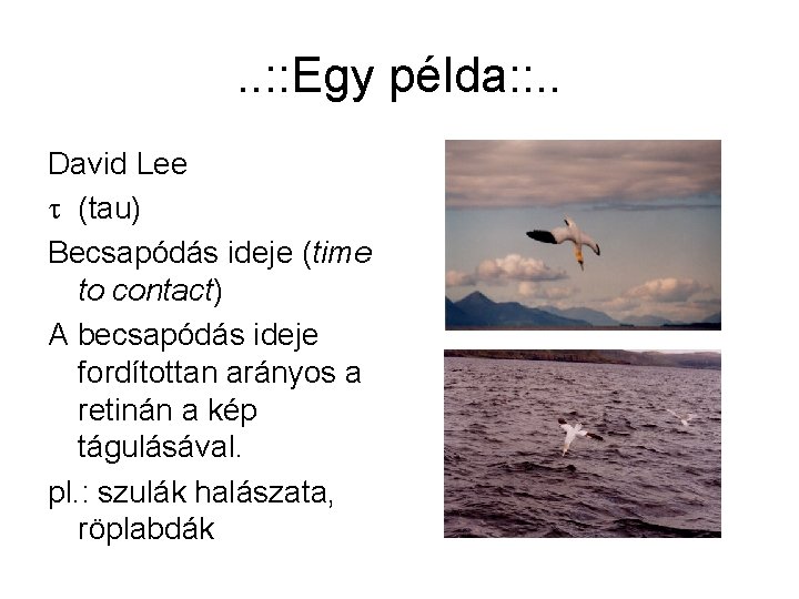 . . : : Egy példa: : . . David Lee t (tau) Becsapódás