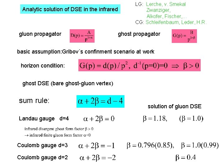 Analytic solution of DSE in the infrared gluon propagator LG: Lerche, v. Smekal Zwanziger,