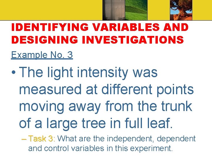 IDENTIFYING VARIABLES AND DESIGNING INVESTIGATIONS Example No. 3 • The light intensity was measured
