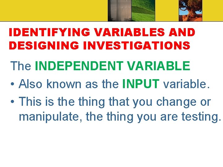 IDENTIFYING VARIABLES AND DESIGNING INVESTIGATIONS The INDEPENDENT VARIABLE • Also known as the INPUT