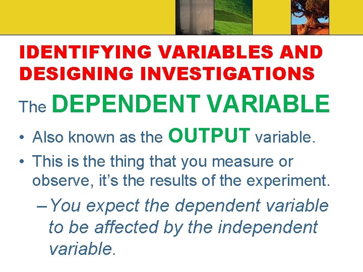 IDENTIFYING VARIABLES AND DESIGNING INVESTIGATIONS The DEPENDENT VARIABLE • Also known as the OUTPUT