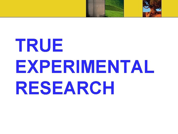 TRUE EXPERIMENTAL RESEARCH 