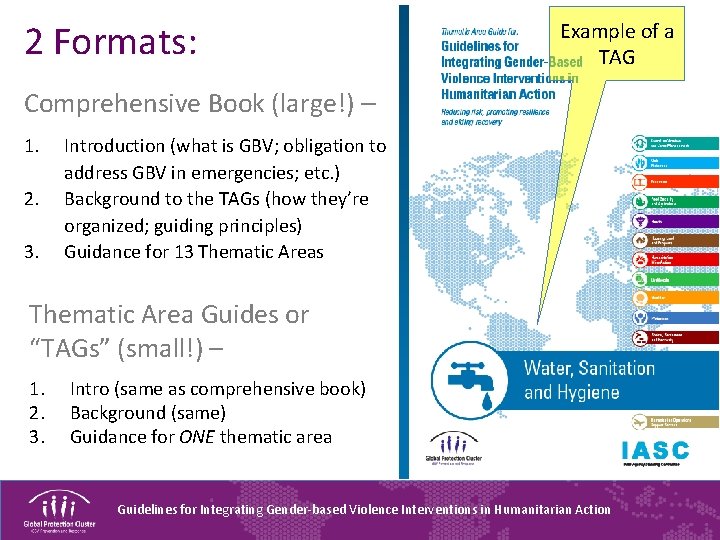 2 Formats: Example of a TAG Comprehensive Book (large!) – 1. 2. 3. Introduction