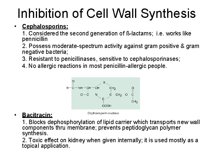 Inhibition of Cell Wall Synthesis • Cephalosporins: 1. Considered the second generation of ß-lactams;