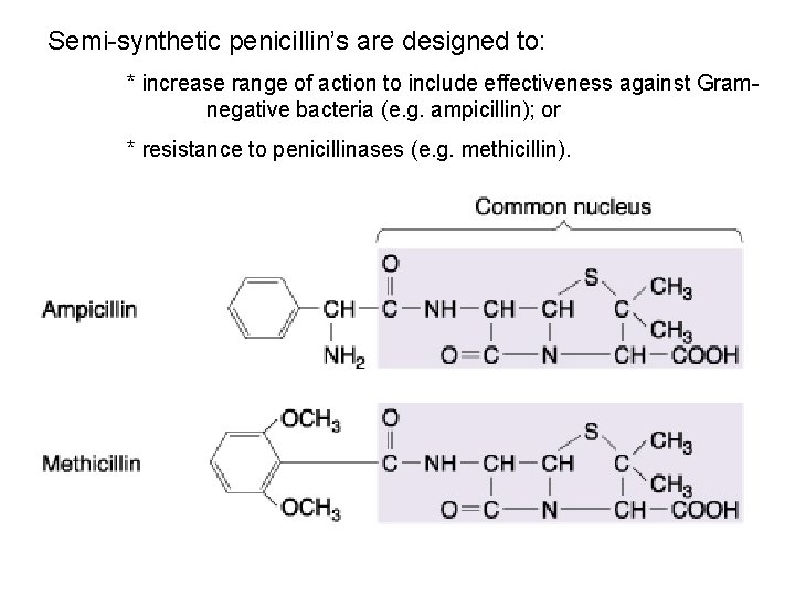 Semi-synthetic penicillin’s are designed to: * increase range of action to include effectiveness against