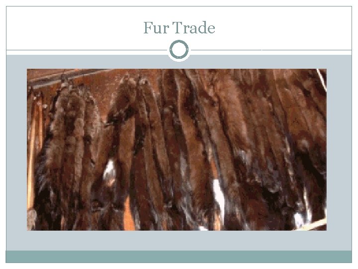 Fur Trade 