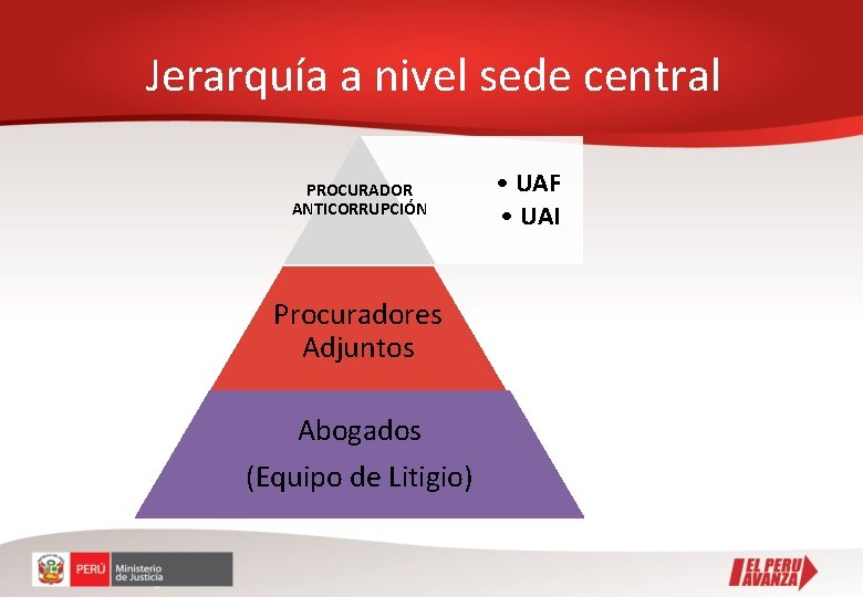 Jerarquía a nivel sede central PROCURADOR ANTICORRUPCIÓN Procuradores Adjuntos Abogados (Equipo de Litigio) •