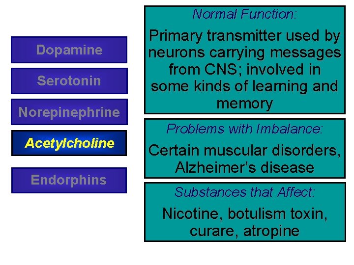Normal Function: Dopamine Serotonin Norepinephrine Acetylcholine Endorphins Primary transmitter used by neurons carrying messages