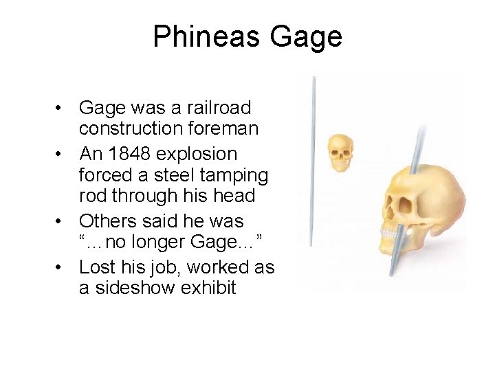 Phineas Gage • Gage was a railroad construction foreman • An 1848 explosion forced