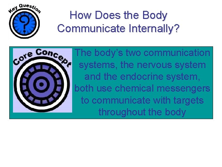 How Does the Body Communicate Internally? The body’s two communication systems, the nervous system