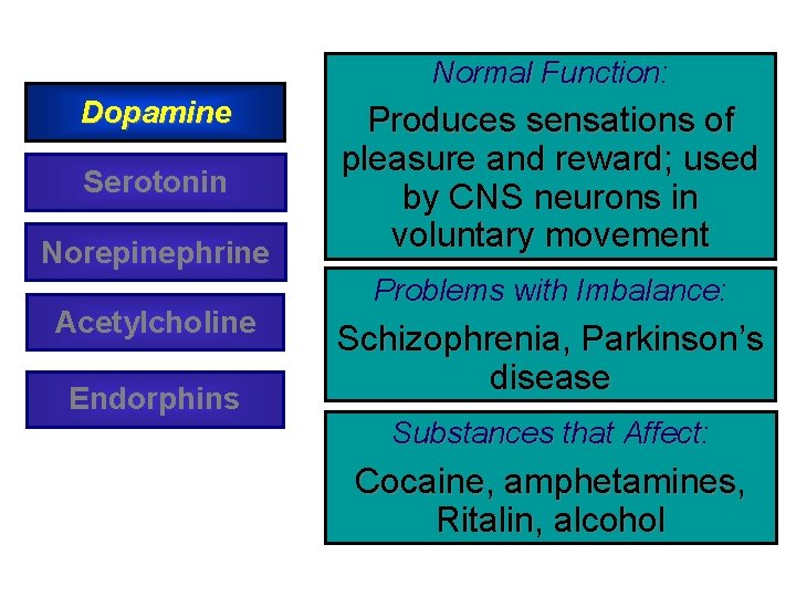Normal Function: Dopamine Serotonin Norepinephrine Acetylcholine Endorphins Produces sensations of pleasure and reward; used