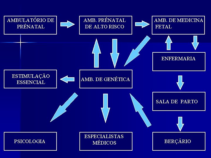 AMBULATÓRIO DE PRÉNATAL AMB. PRÉNATAL DE ALTO RISCO AMB. DE MEDICINA FETAL ENFERMARIA ESTIMULAÇÃO