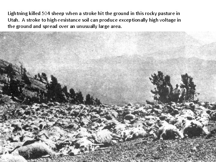 Lightning killed 504 sheep when a stroke hit the ground in this rocky pasture