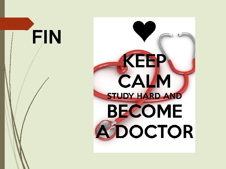 FIN 