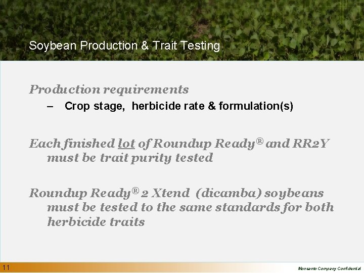 Soybean Production & Trait Testing Production requirements – Crop stage, herbicide rate & formulation(s)