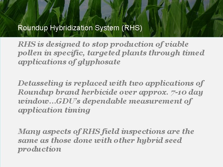 Roundup Hybridization System (RHS) RHS is designed to stop production of viable pollen in