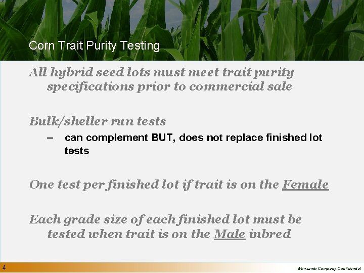 Corn Trait Purity Testing All hybrid seed lots must meet trait purity specifications prior