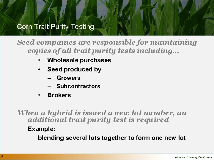 Corn Trait Purity Testing Seed companies are responsible for maintaining copies of all trait