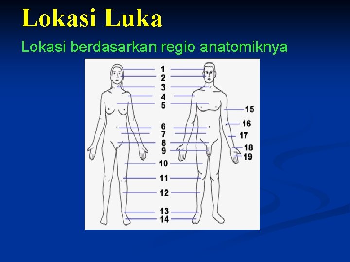 Lokasi Luka Lokasi berdasarkan regio anatomiknya Lokasi Luka Lokasi berdasarkan regio anatomiknya