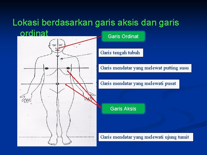 Lokasi berdasarkan garis aksis dan garis ordinat Garis Ordinat Garis tengah tubuh Garis mendatar Lokasi berdasarkan garis aksis dan garis ordinat Garis Ordinat Garis tengah tubuh Garis mendatar