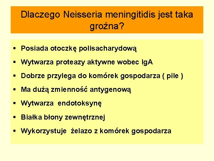 Dlaczego Neisseria meningitidis jest taka groźna? § Posiada otoczkę polisacharydową § Wytwarza proteazy aktywne