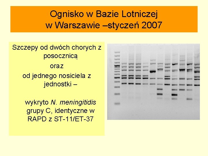 Ognisko w Bazie Lotniczej w Warszawie –styczeń 2007 Szczepy od dwóch chorych z posocznicą