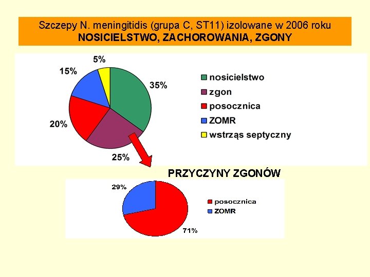 Szczepy N. meningitidis (grupa C, ST 11) izolowane w 2006 roku NOSICIELSTWO, ZACHOROWANIA, ZGONY
