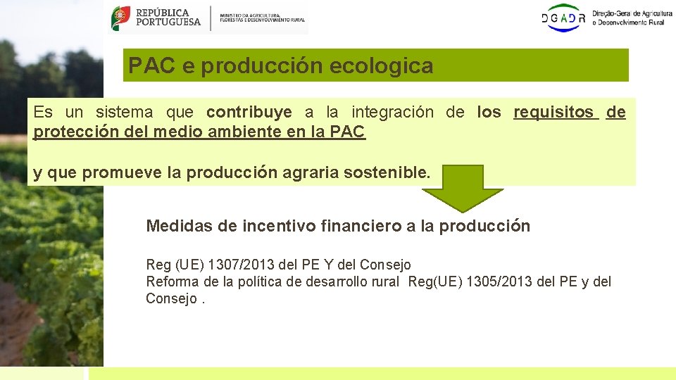 PAC e producción ecologica Es un sistema que contribuye a la integración de los