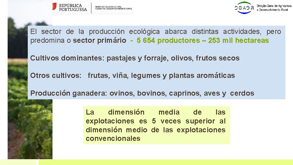 El sector de la producción ecológica abarca distintas actividades, pero predomina o sector primário