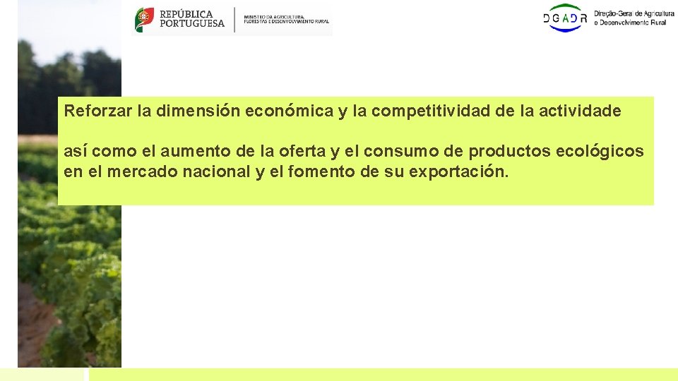 Reforzar la dimensión económica y la competitividad de la actividade así como el aumento