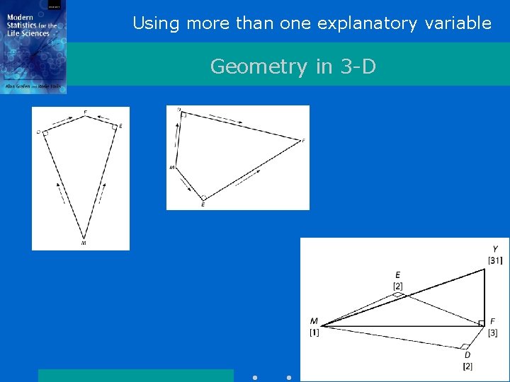 Using more than one explanatory variable Geometry in 3 -D 