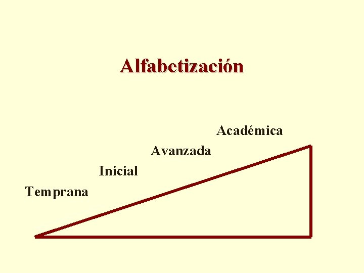 Alfabetización Académica Avanzada Inicial Temprana 