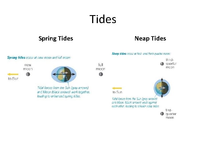 Tides Spring Tides Neap Tides 