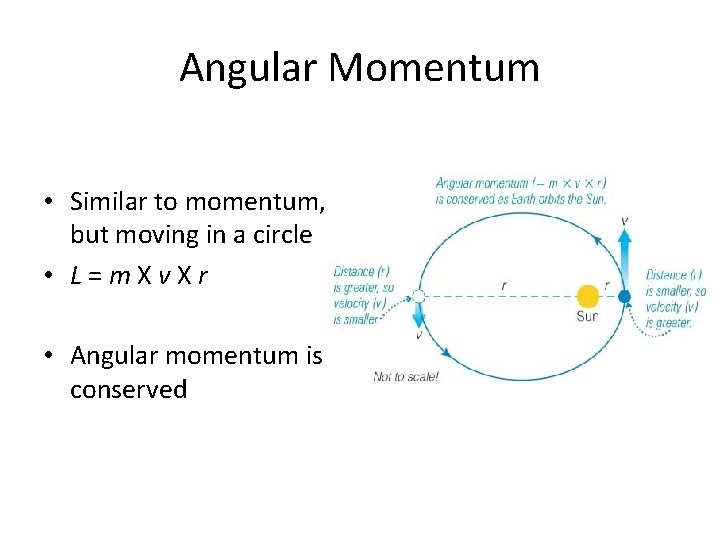 Angular Momentum • Similar to momentum, but moving in a circle • L=m. Xv. Angular Momentum • Similar to momentum, but moving in a circle • L=m. Xv.