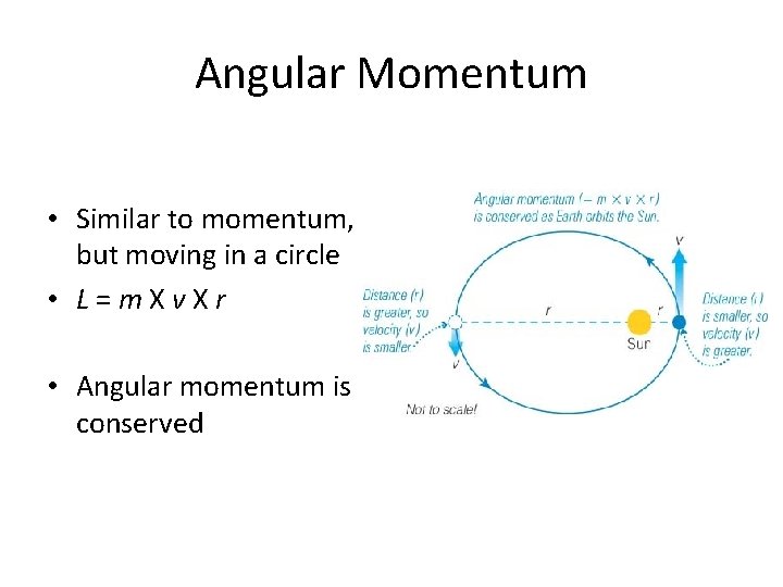 Angular Momentum • Similar to momentum, but moving in a circle • L=m. Xv.