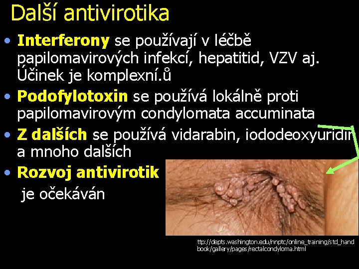 Další antivirotika • Interferony se používají v léčbě papilomavirových infekcí, hepatitid, VZV aj. Účinek
