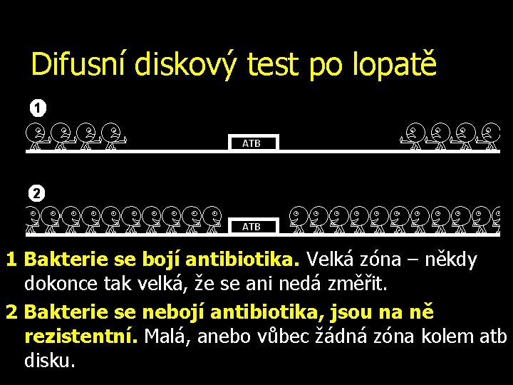 Difusní diskový test po lopatě CITLIVÝ REZISTENTNÍ 1 Bakterie se bojí antibiotika. Velká zóna