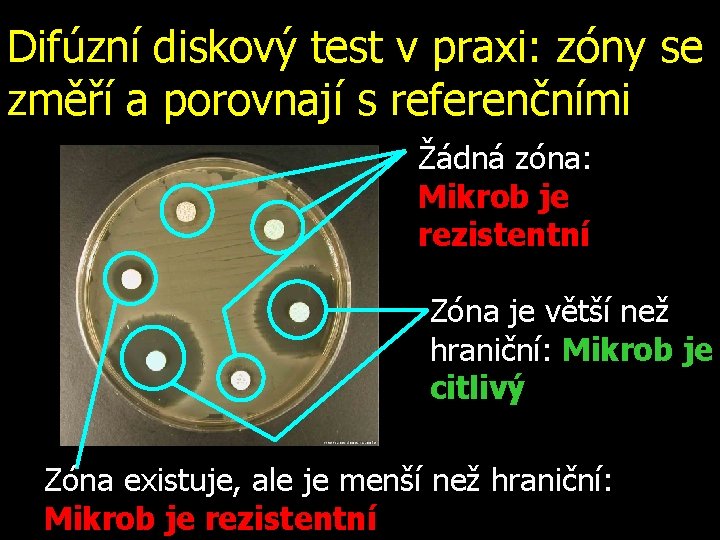 Difúzní diskový test v praxi: zóny se změří a porovnají s referenčními www. medmicro.