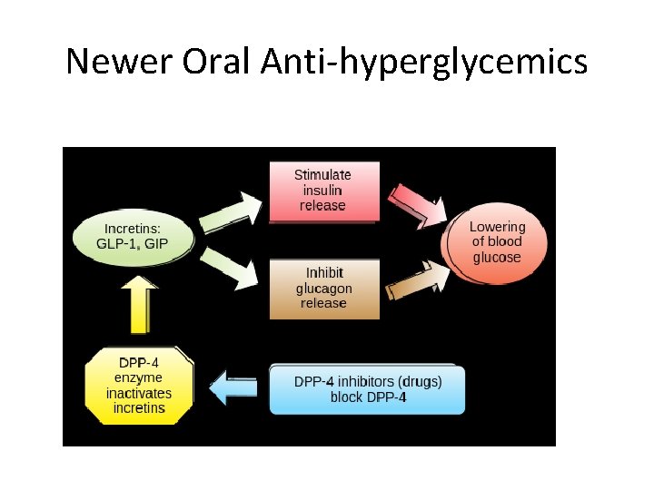 Newer Oral Anti-hyperglycemics 
