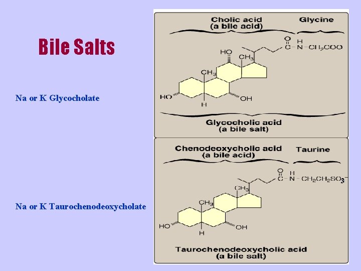 Bile Salts Na or K Glycocholate 3 Na or K Taurochenodeoxycholate 