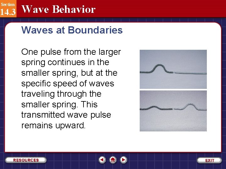 Section 14. 3 Wave Behavior Waves at Boundaries One pulse from the larger spring