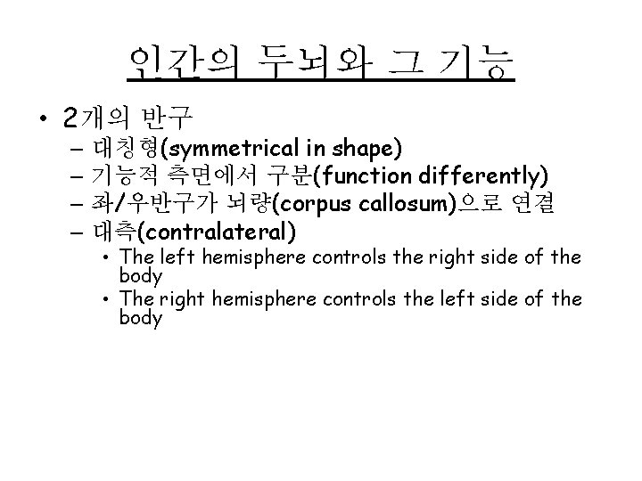 인간의 두뇌와 그 기능 • 2개의 반구 – 대칭형(symmetrical in shape) – 기능적 측면에서