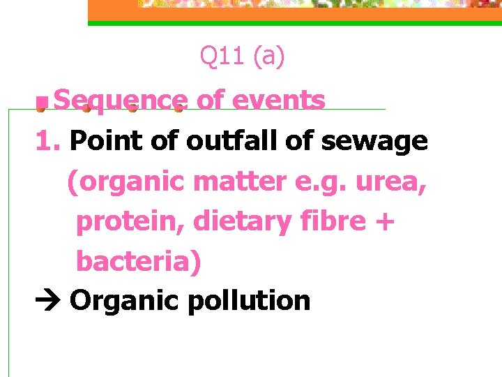 Q 11 (a) n Sequence of events 1. Point of outfall of sewage (organic