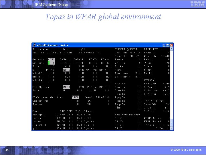 IBM Systems Group Topas in WPAR global environment 44 © 2008 IBM Corporation 